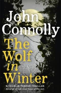 Wolf in winter
