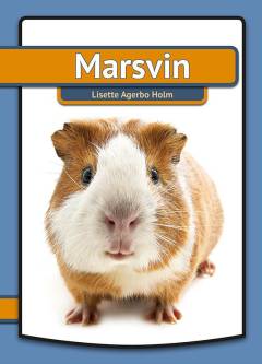 Marsvin