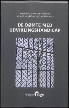 De dømte med udviklingshandicap
