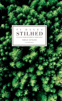 Ti dages stilhed : et essay om meditation og bevidsthed