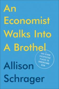 An economist walks into a brothel : and other unexpected places to understand risk