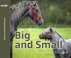 Big and small