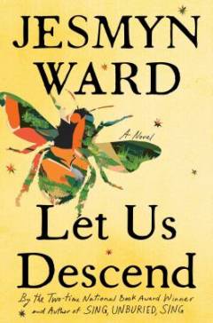 Let us descend : a novel