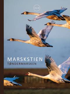 Marskstien : Tøndermarsken