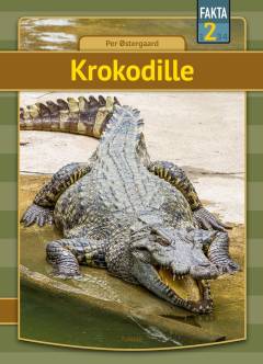 Krokodille