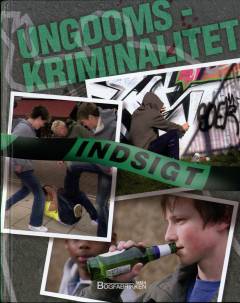 Ungdomskriminalitet