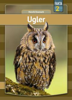 Ugler