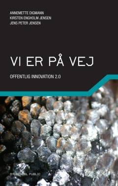Vi er på vej : offentlig innovation 2.0