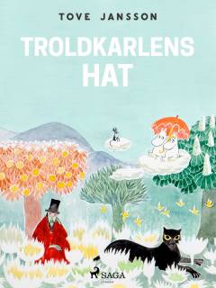 Mumitrolden. Troldmandens hat