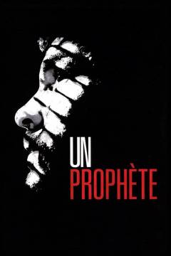 Film (dvd), 2010