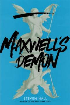 Maxwell's demon