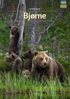 Bog, 1. udgave, 2023