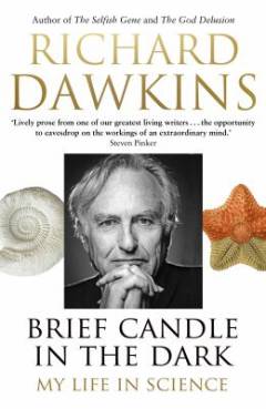 Brief candle in the dark