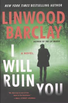 I will ruin you : a novel