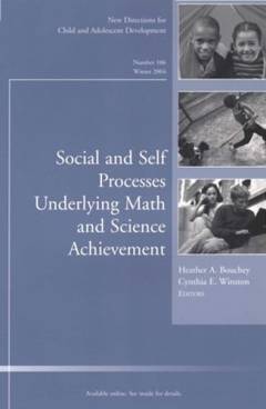 Social and self processes underlying math and science achievement