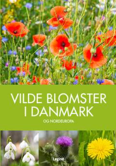 Vilde blomster i Danmark og Nordeuropa