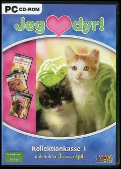 Computerspil (cd-rom), 2013