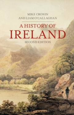 A history of Ireland