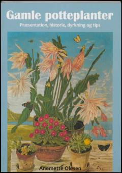 Gamle potteplanter : præsentation, historie, dyrkning og tips
