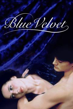 Film (dvd), 2001