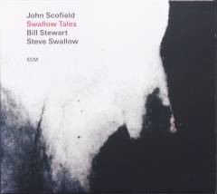 Swallow tales