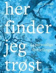 Her finder jeg trøst : 44 personlige fortællinger