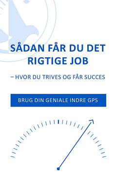 Sådan får du det rigtige job - hvor du trives og får succes : brug din geniale GPS