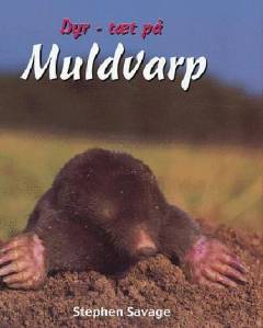 Muldvarp