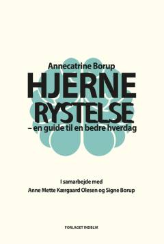 Hjernerystelse : en guide til en bedre hverdag
