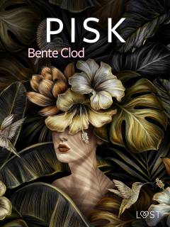 Pisk - erotisk novelle