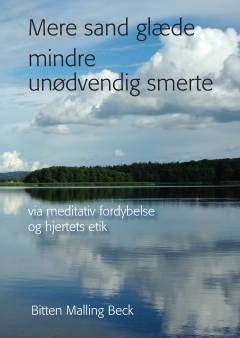 Mere sand glæde mindre unødvendig smerte : via meditativ fordybelse og hjertets etik