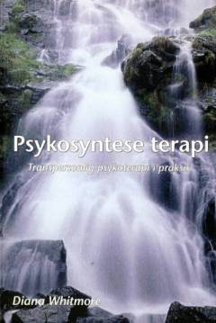 Psykosyntese terapi : transpersonlig psykoterapi i praksis