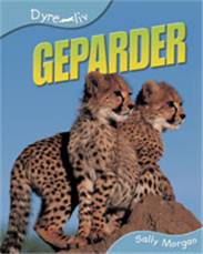 Geparder