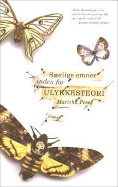 Særlige emner inden for ulykkesteori