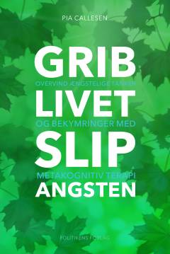 Grib livet - slip angsten : overvind ængstelighed og bekymringer med metakognitiv terapi