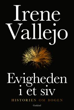 Evigheden i et siv : historien om bogen