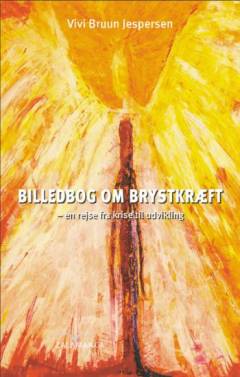 Billedbog om brystkræft : en rejse fra krise til udvikling