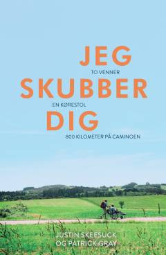 Jeg skubber dig : to venner, en kørestol, 800 kilometer på Caminoen