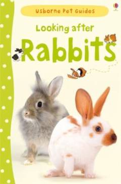 Looking after rabbits