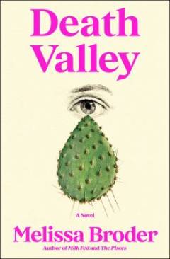 Death Valley : a novel
