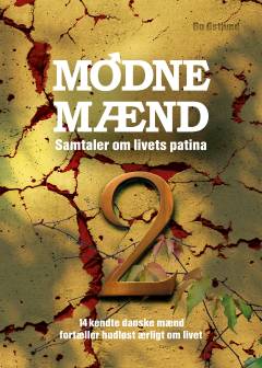Modne mænd 2