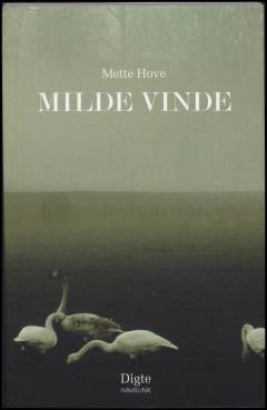 Milde vinde