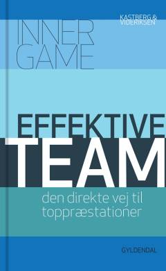 Effektive team : den direkte vej til toppræstationer