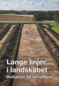 Lange linjer i landskabet : hulbælter fra jernalderen