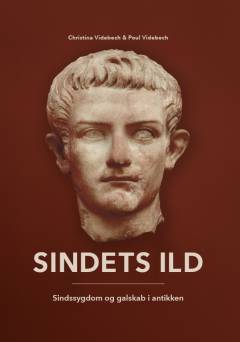 Sindets ild : sindssygdom og galskab i antikken