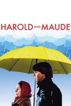 Film (dvd), 2004