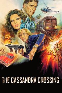 Film (dvd), 2001