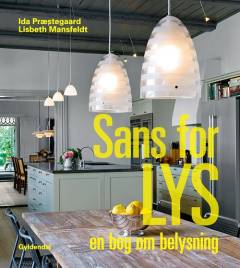 Sans for lys : en bog om belysning