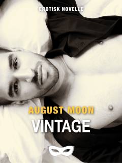 Vintage : erotisk novelle