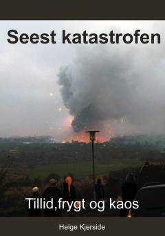 Seest katastrofen : tillid, frygt og kaos
